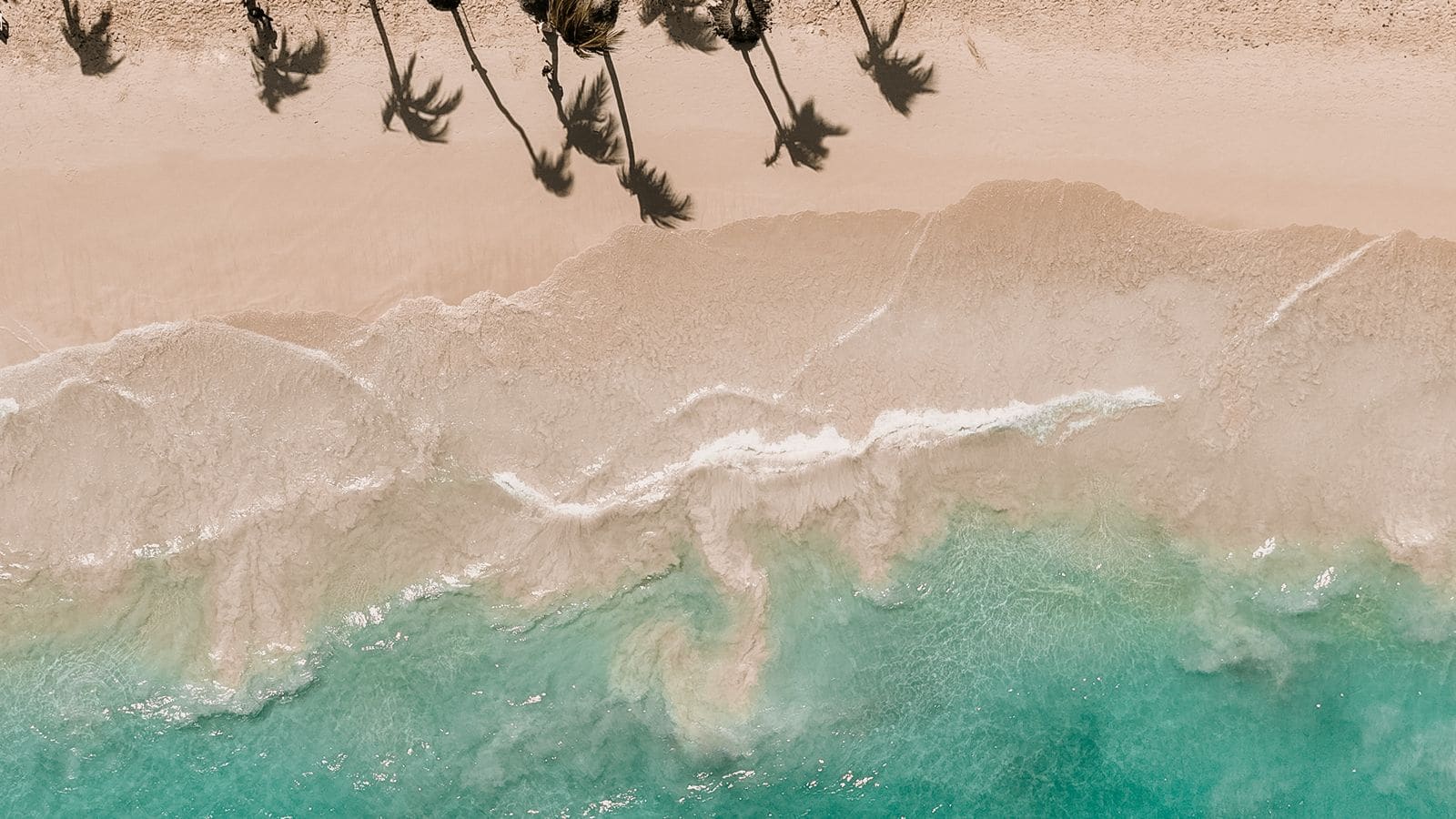Palmen und türkisblaues Meer am Strand von Punta Cana aus der Luft