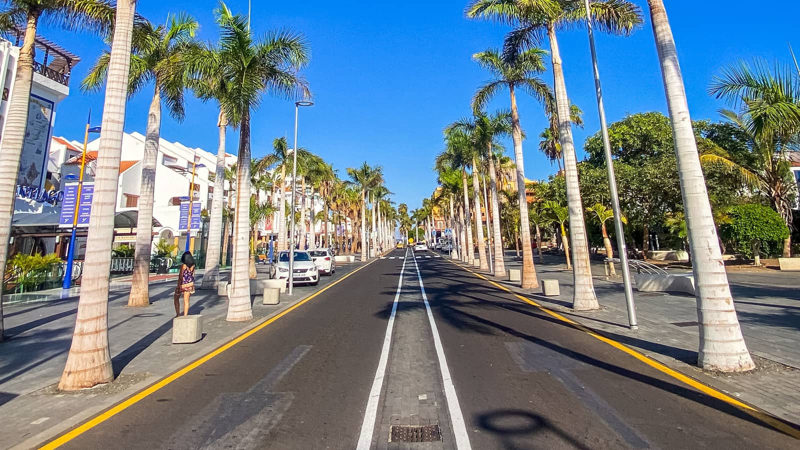 Palmenpromenade im sonnigen Süden von Teneriffa